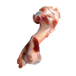 Humerous bone