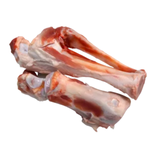 Bones from Shoulder