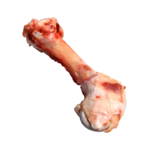 Femur bone