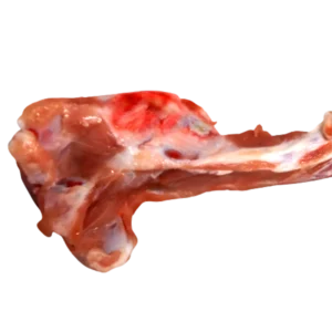 Tailbone